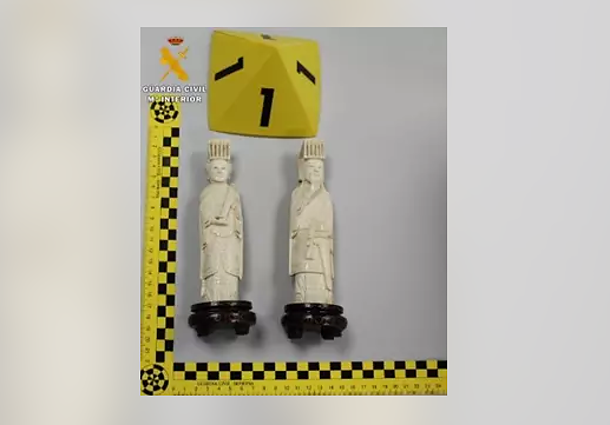 Imagen de las piezas incautadas.