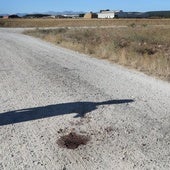 La Guardia Civil mantiene la búsqueda del perro que ha matado a un hombre en Barrios de la Vega