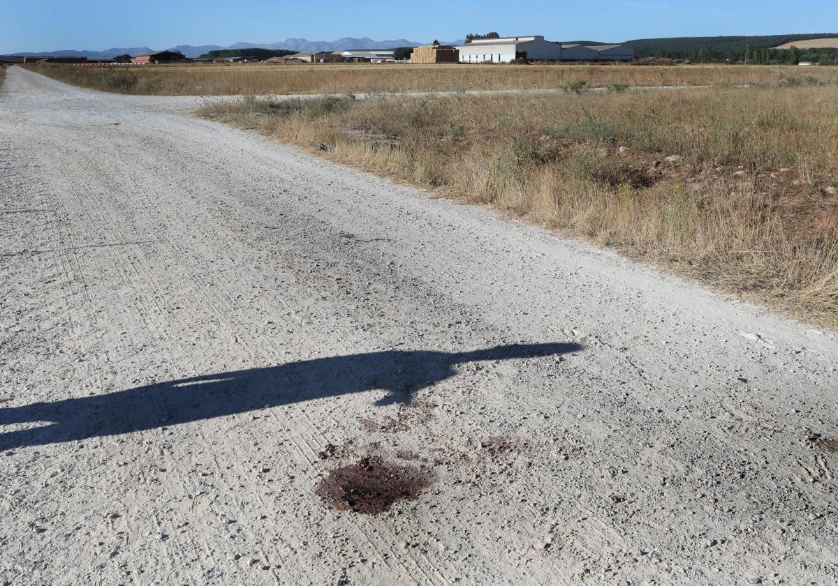 Mancha de sangre en el lugar del ataque, en un camino rural entre Barrios y Poza de la Vega.