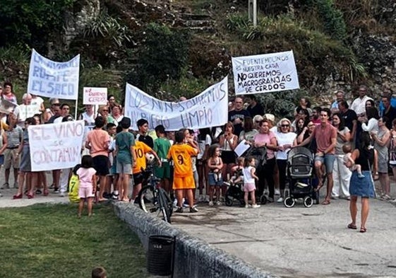 Manifestación en contra de la macrogranja en Fuentemolinos, Burgos