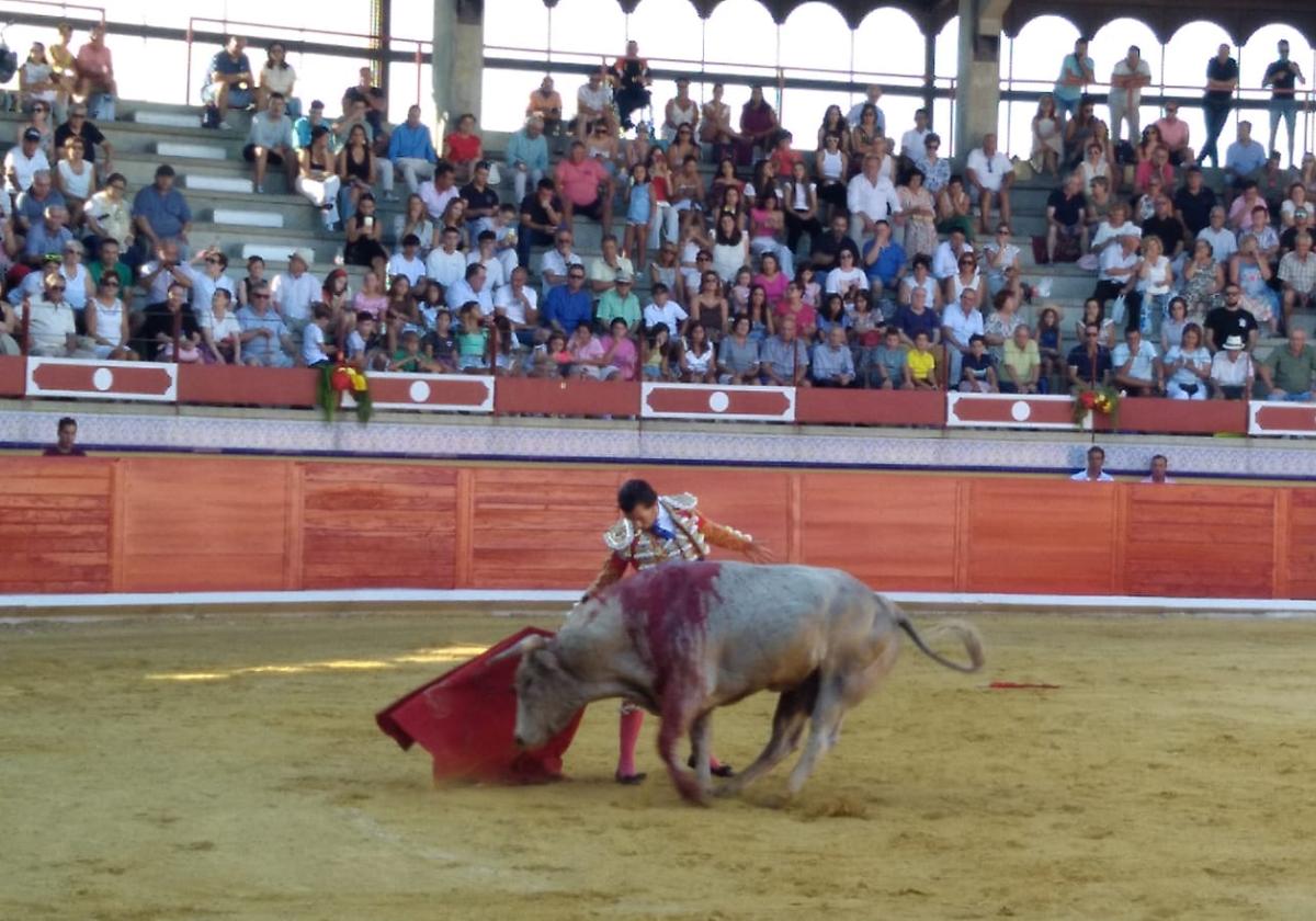 Manuel Andrades durante su actuación en la primera novillada del XXIV Certamen de Novilleros Piñón de España de Pedrajas.