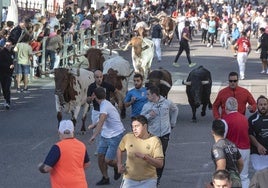 Un momento del primer encierro de las fiestas de Cuéllar.