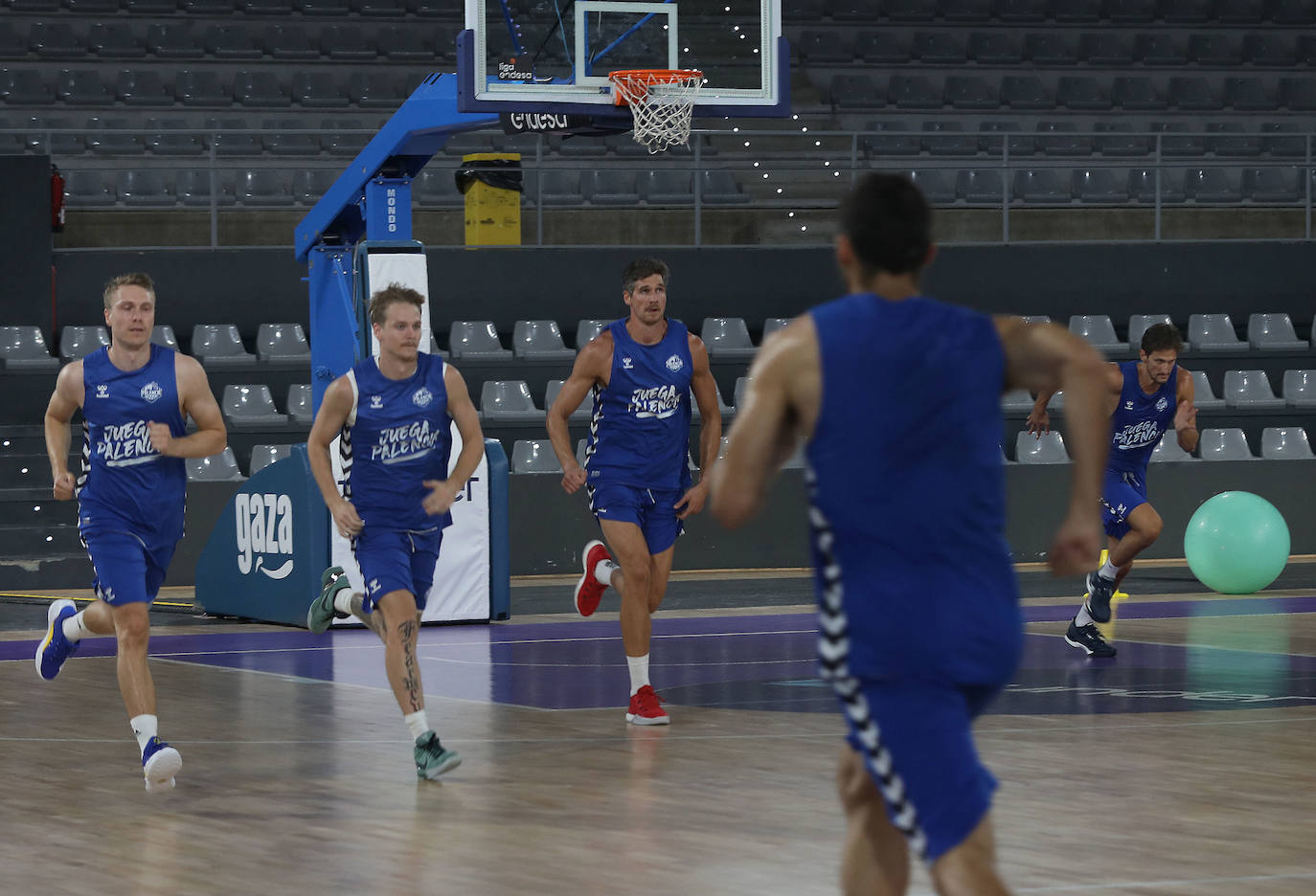 El Palencia Baloncesto repite ilusión