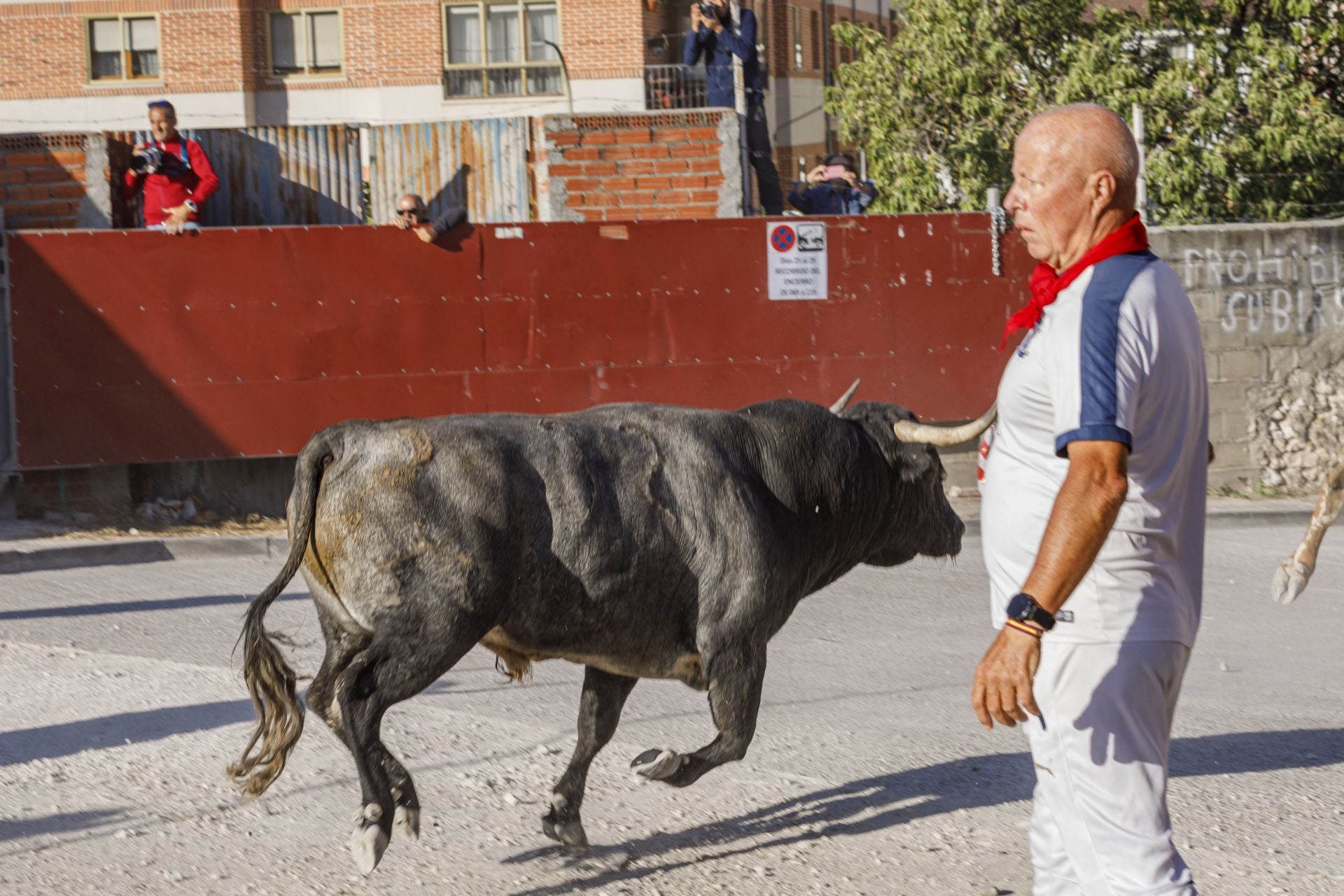 El segundo encierro de Cuéllar, en imágenes (1 de 3)