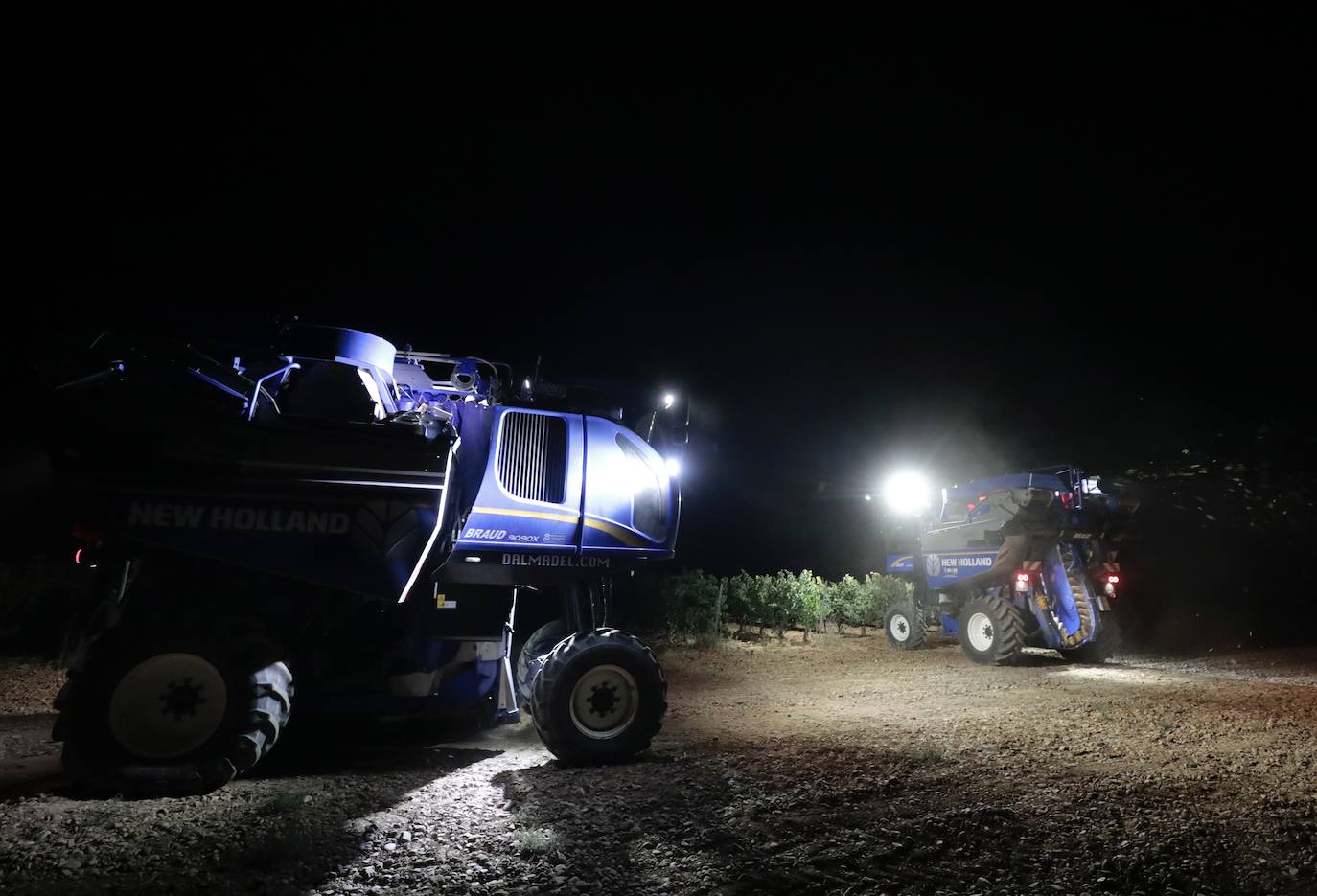 Así es una vendimia nocturna en una bodega de Valladolid