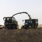 Agricultores y ganaderos de Valladolid denuncian un verano «especialmente caliente» de robos