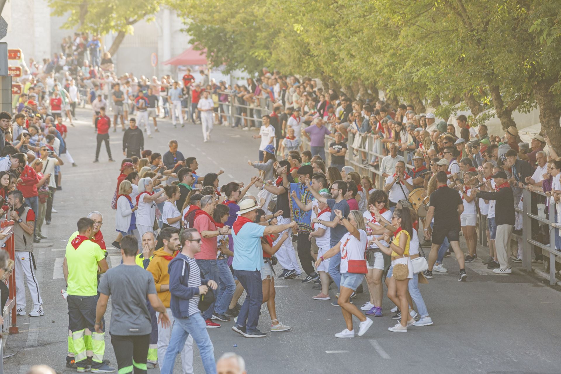 Fotografías del tercer encierro de Cuéllar (2 de 3)