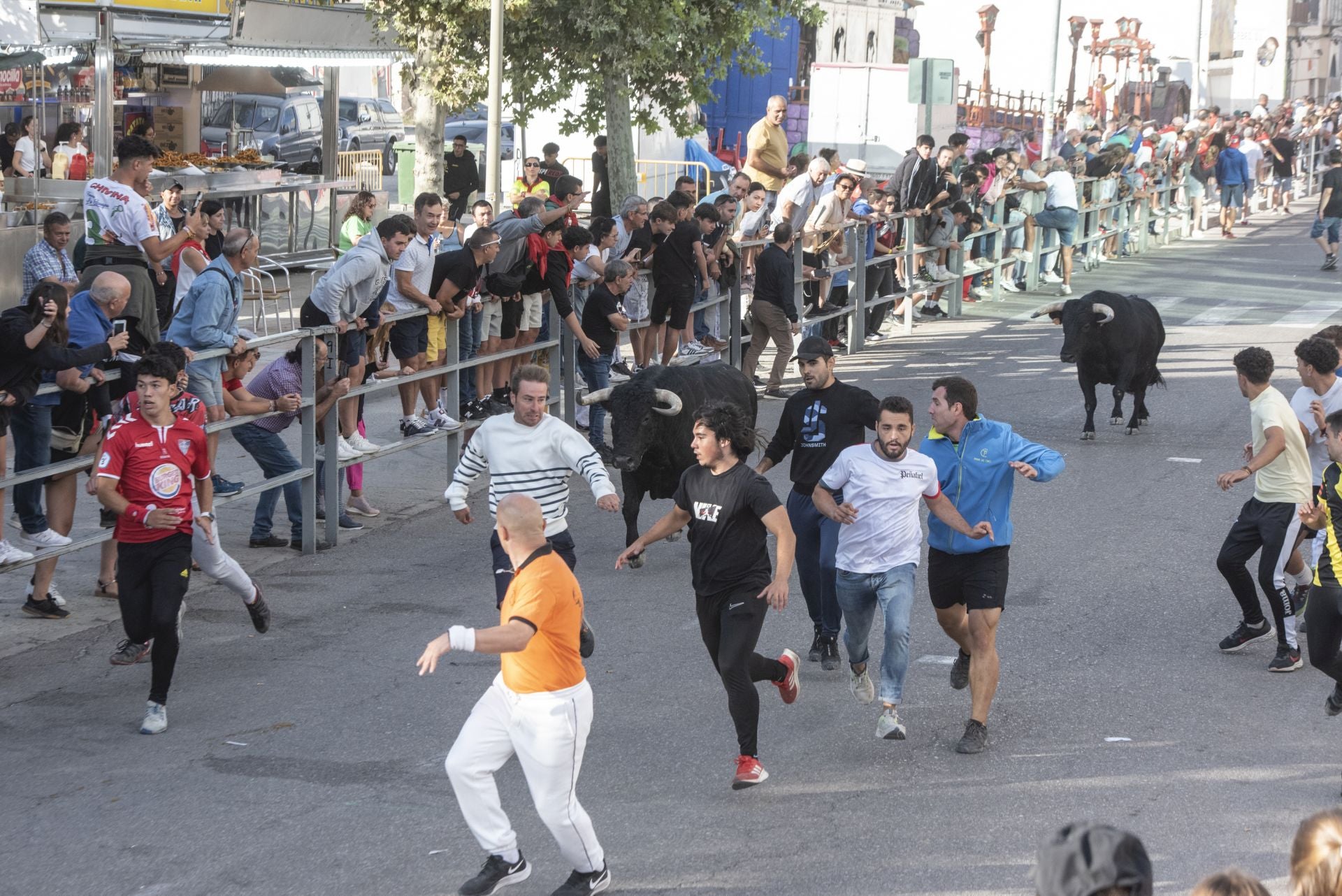 Fotografías del tercer encierro de Cuéllar (1 de 3)