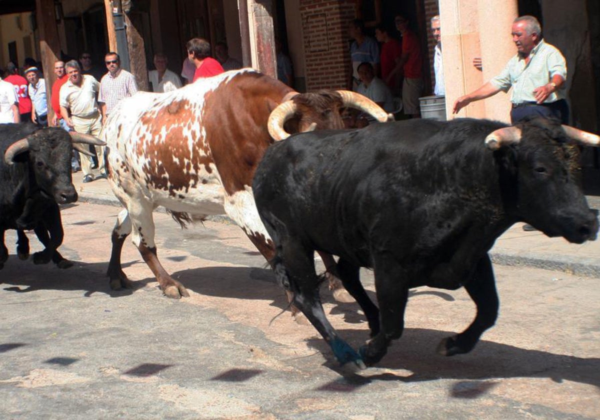 Imagen de unos encierros anteriores.