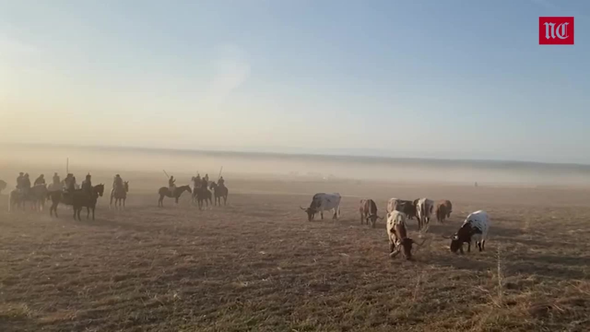 Impecable cuarto encierro de las fiestas de Cuéllar con los toros de Núñez del Cuvillo