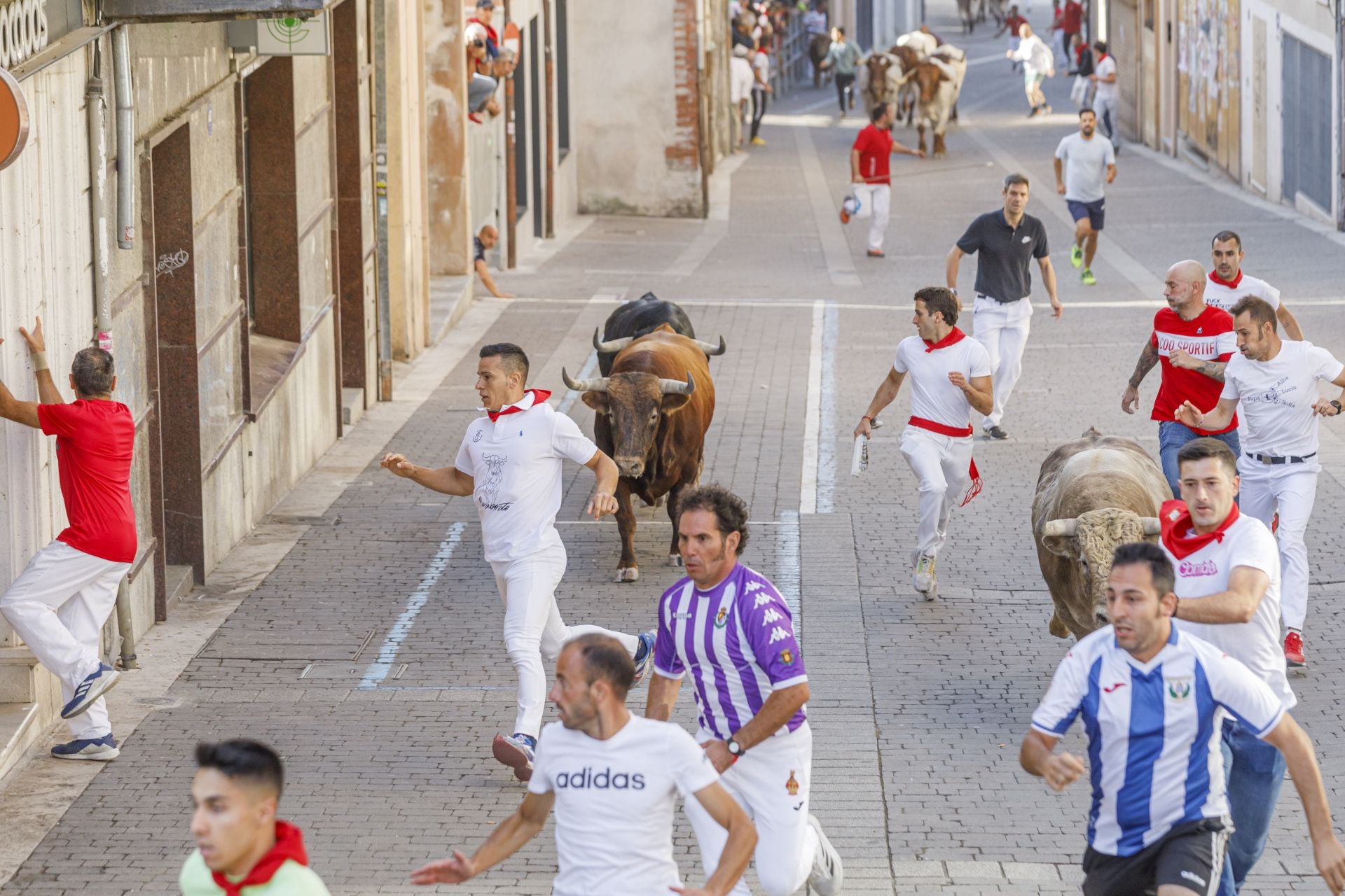Fotos del cuarto encierro de Cuéllar (3 de 3)