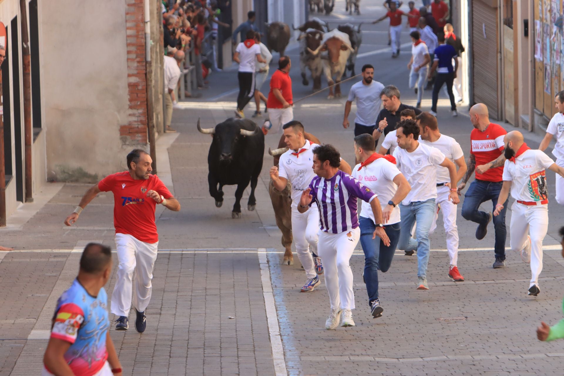 Fotos del cuarto encierro de Cuéllar (1 de 3)