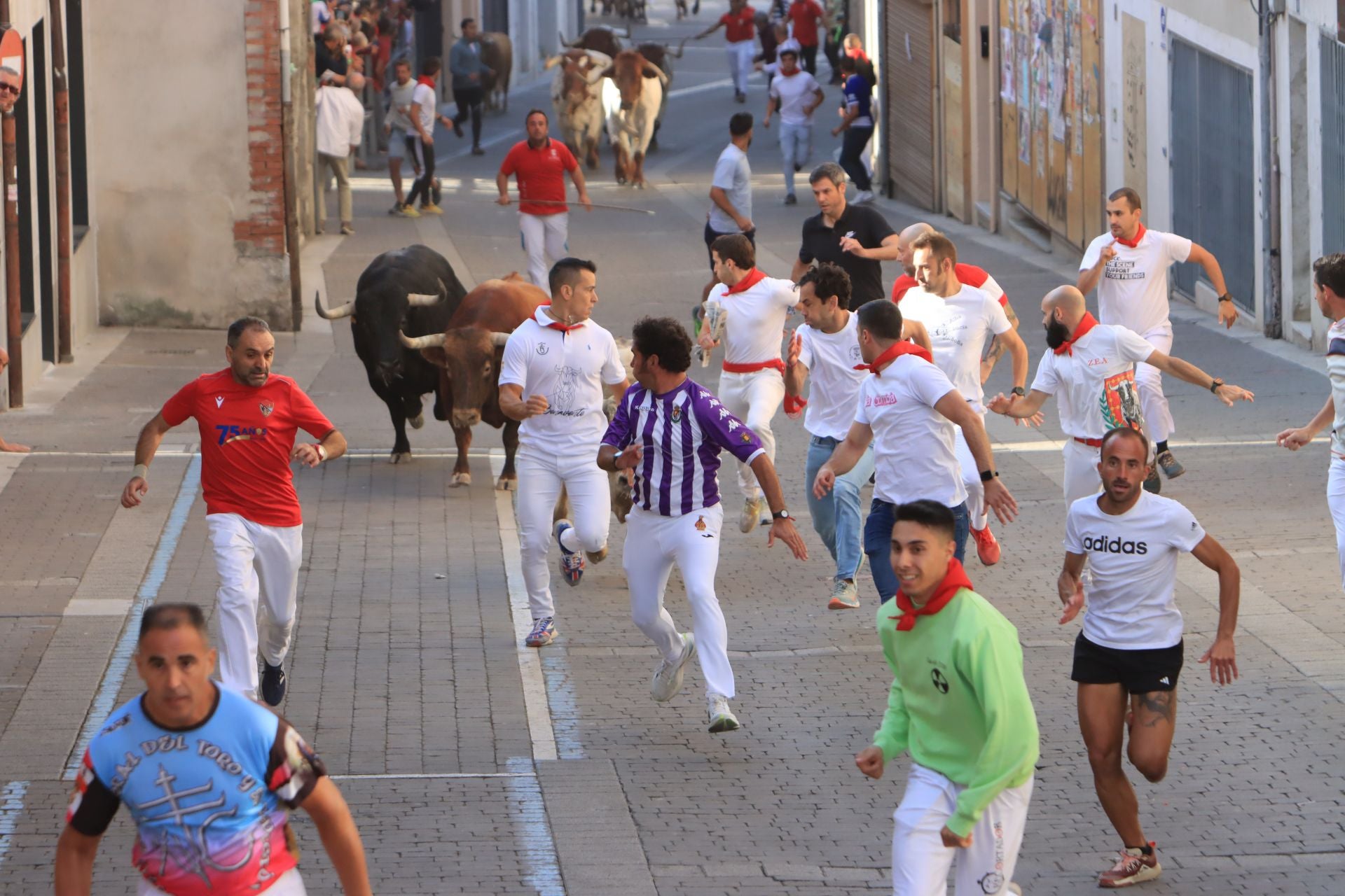 Fotos del cuarto encierro de Cuéllar (1 de 3)