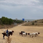 La casta de los Cebada Gago mide el valor de las monturas