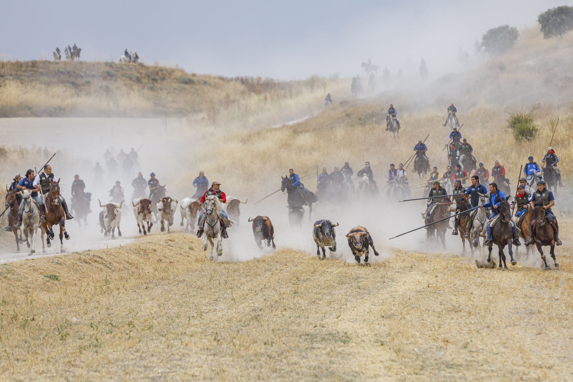 Fotos del quinto y último encierro de Cuéllar (2 de 3)