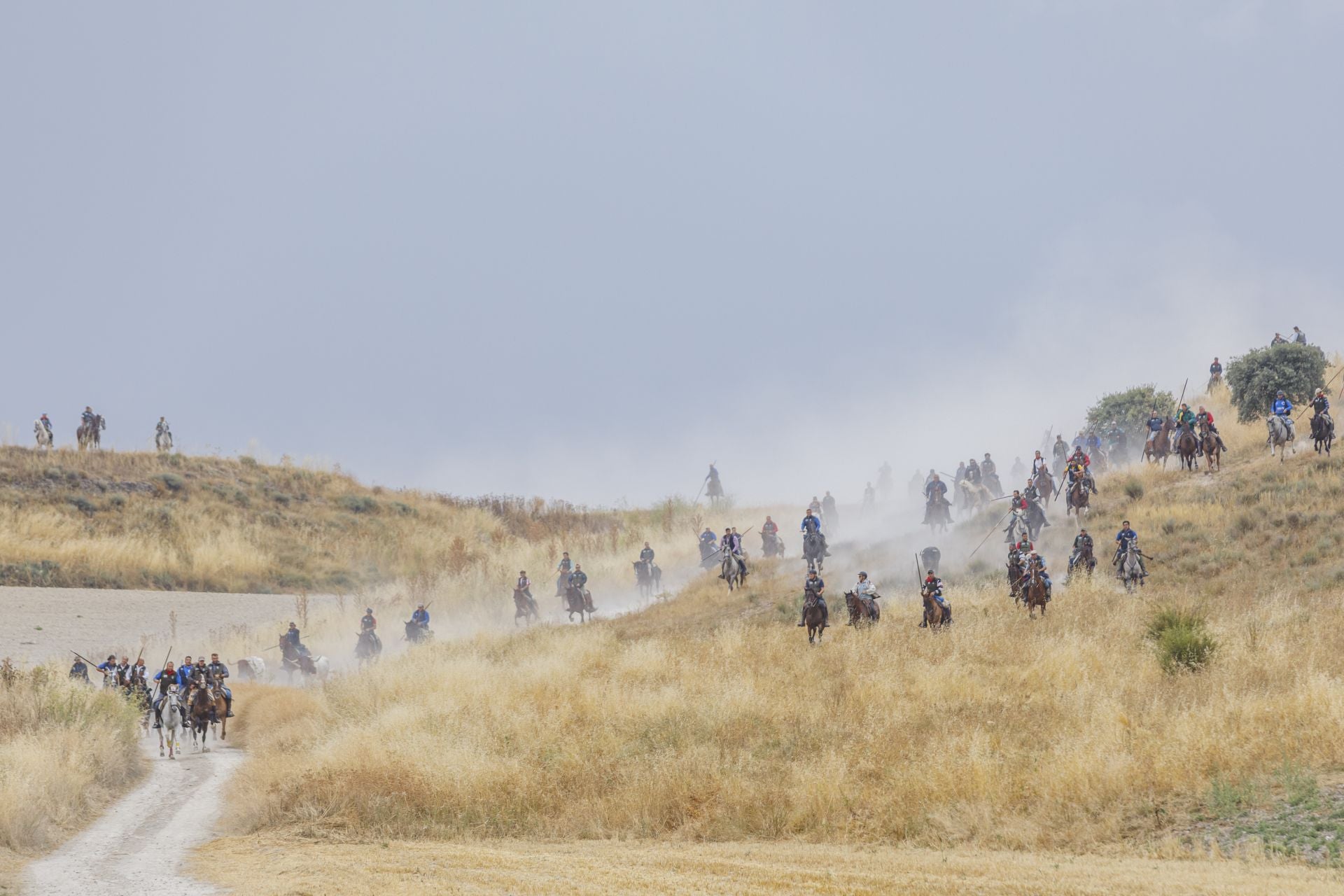 Fotos del quinto y último encierro de Cuéllar (2 de 3)