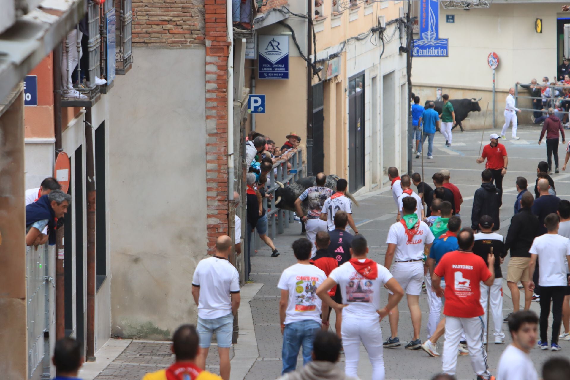 Fotos del quinto y último encierro de Cuéllar (3 de 3)