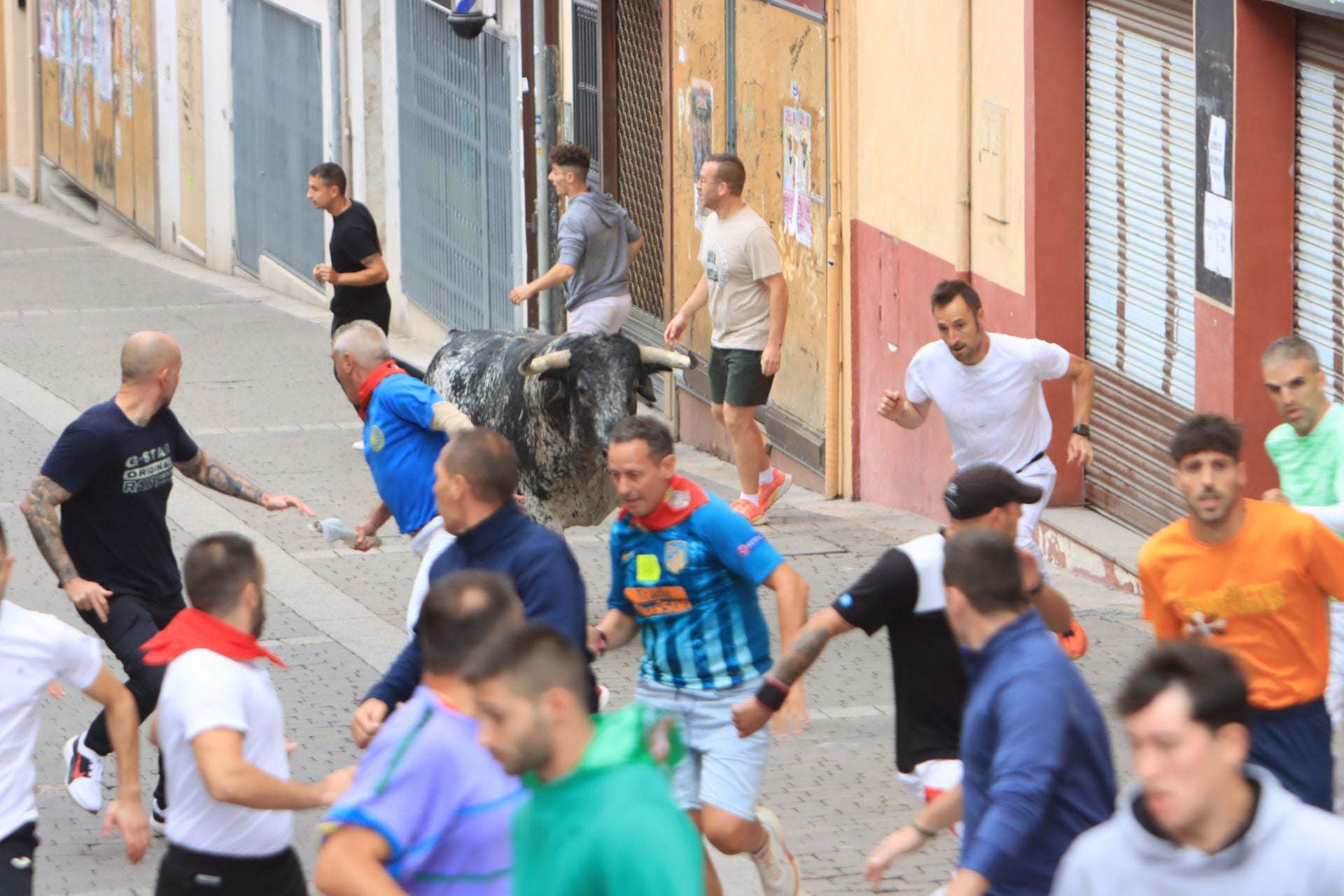 Fotos del quinto y último encierro de Cuéllar (3 de 3)