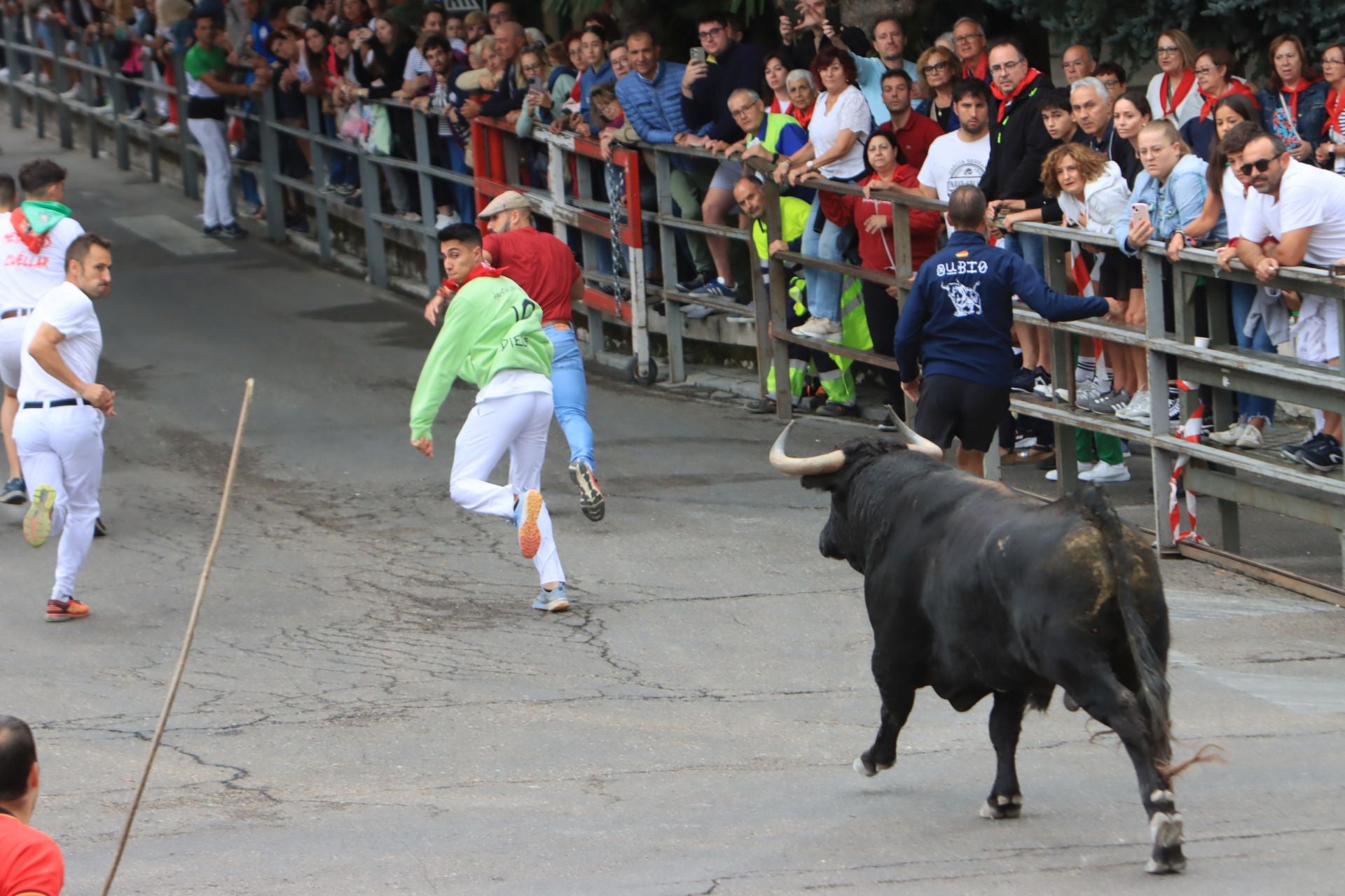 Fotos del quinto y último encierro de Cuéllar (3 de 3)