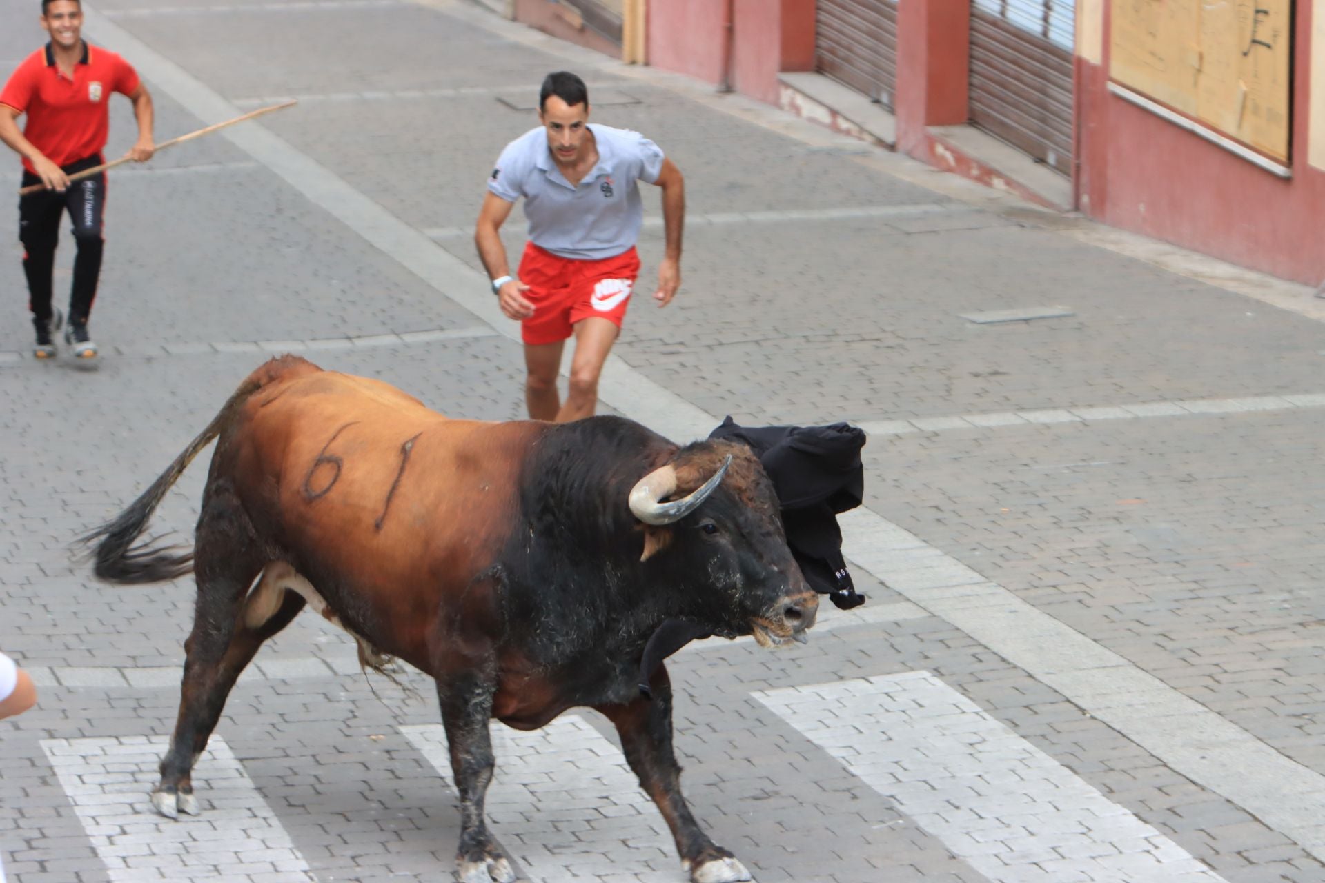 Fotos del quinto y último encierro de Cuéllar (3 de 3)