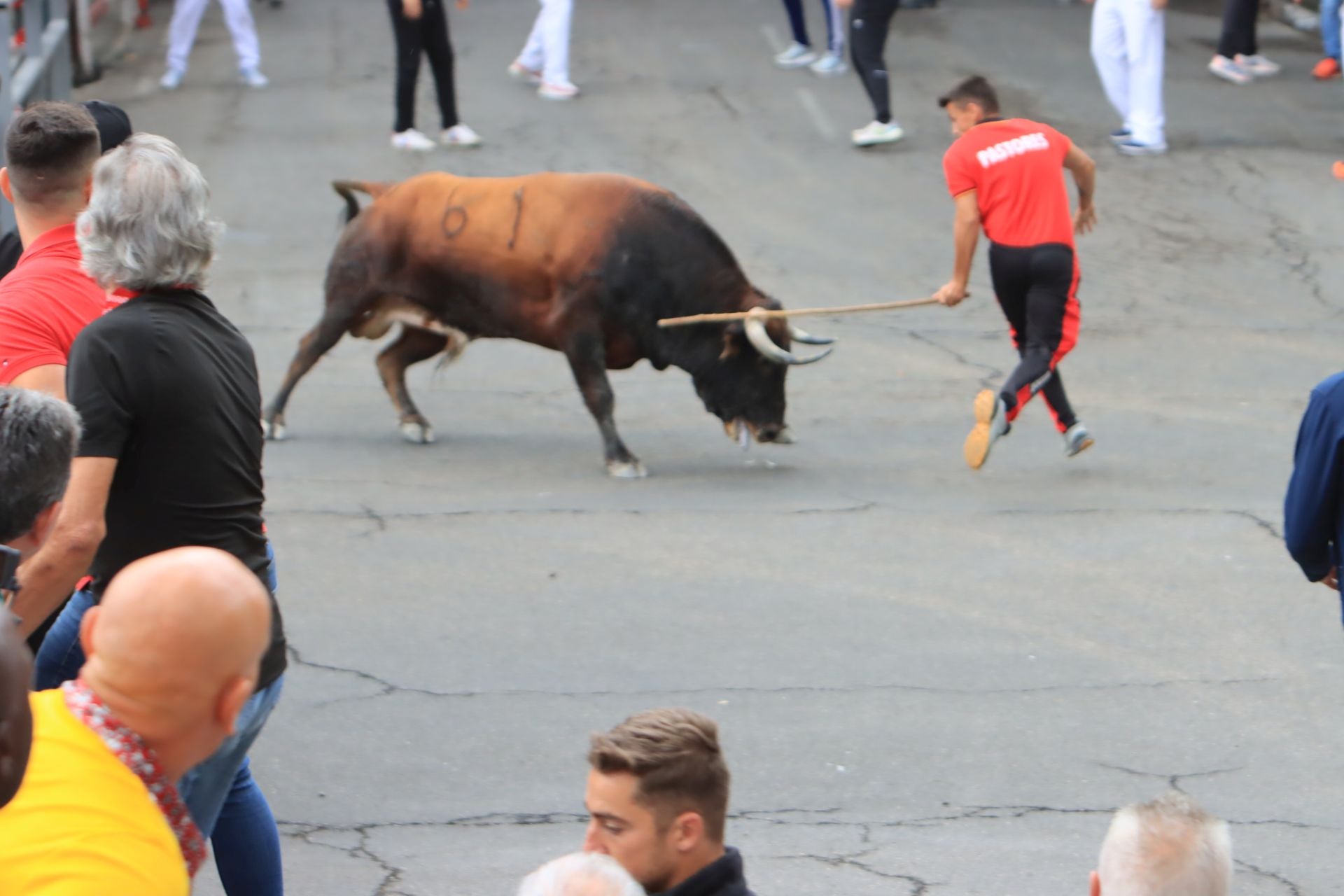 Fotos del quinto y último encierro de Cuéllar (3 de 3)