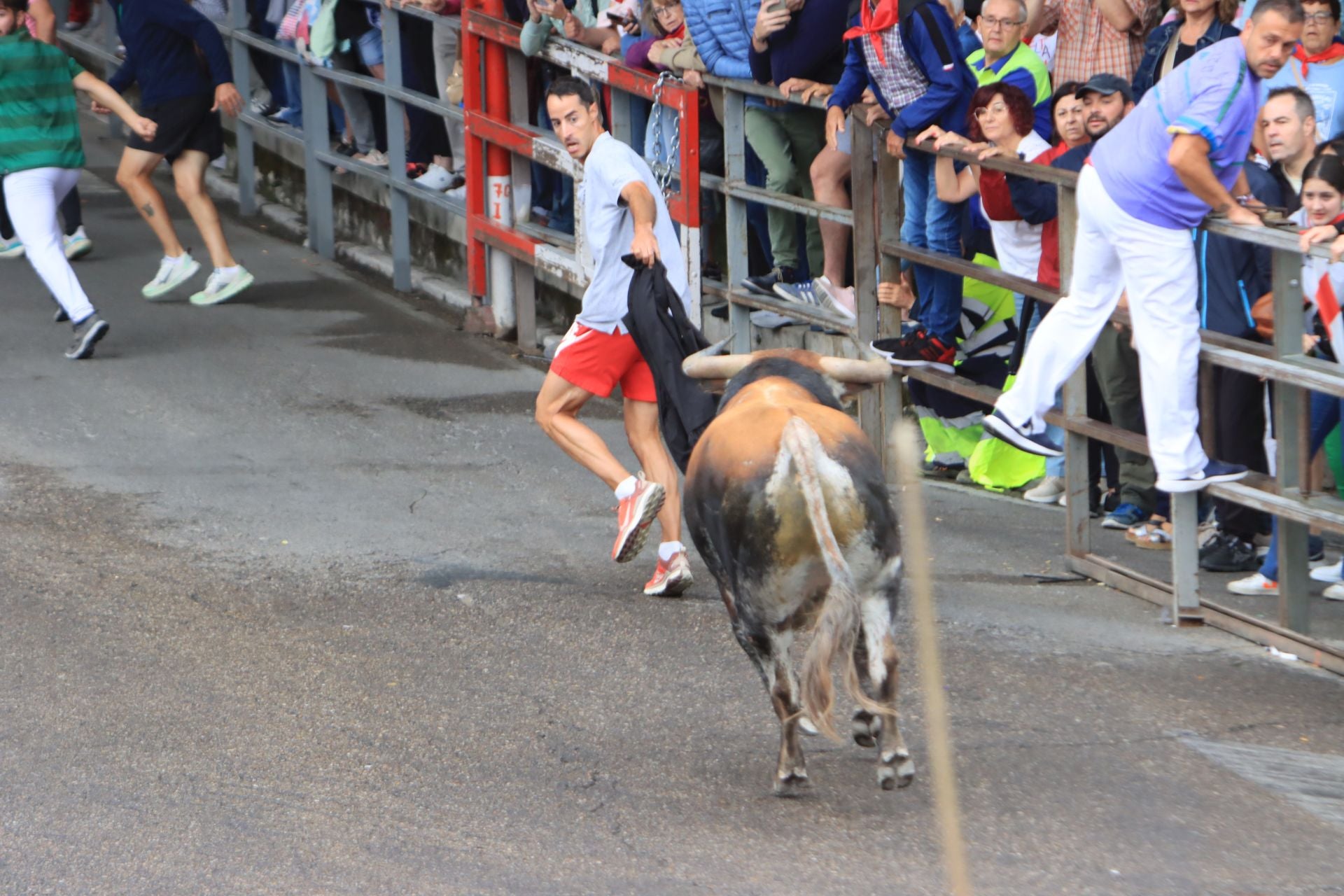 Fotos del quinto y último encierro de Cuéllar (3 de 3)