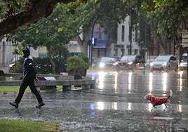 Un hombre pasea su perro bajo la lluvia esta mañana en la plaza Colón.
