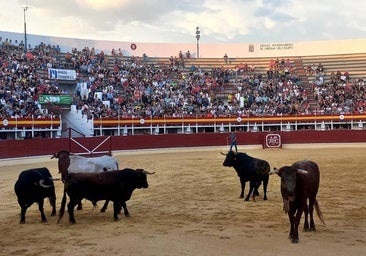 Medina del Campo ya disfruta de los toros