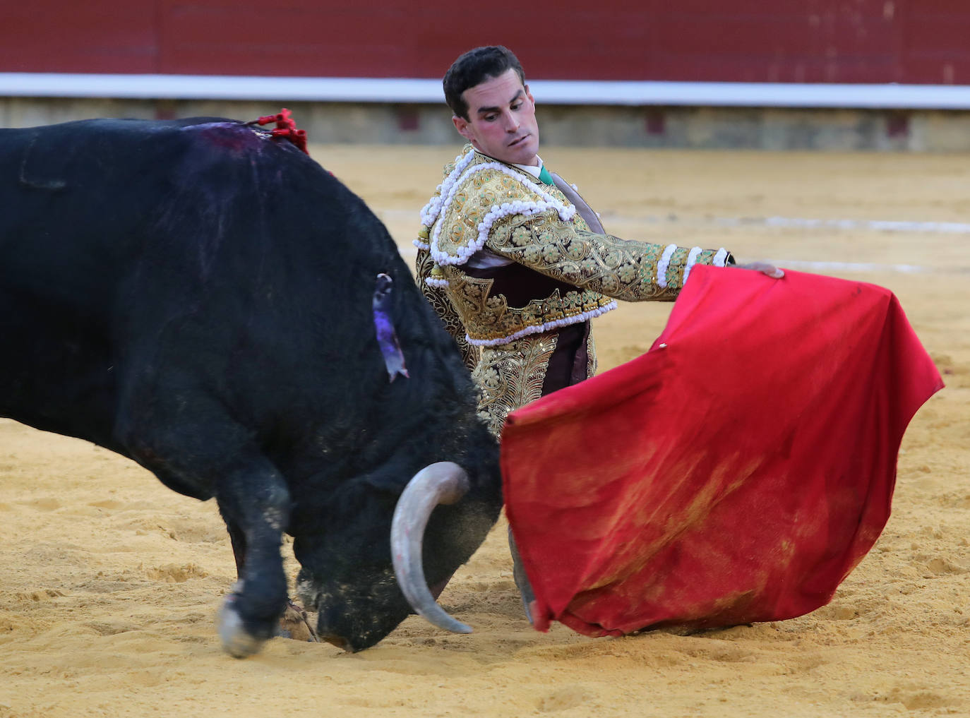 Segunda de abono con indulto en Palencia