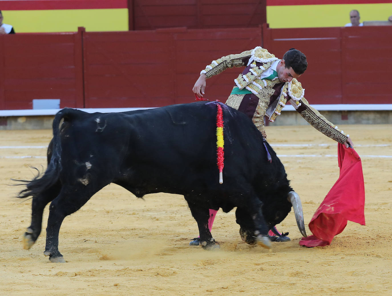 Segunda de abono con indulto en Palencia