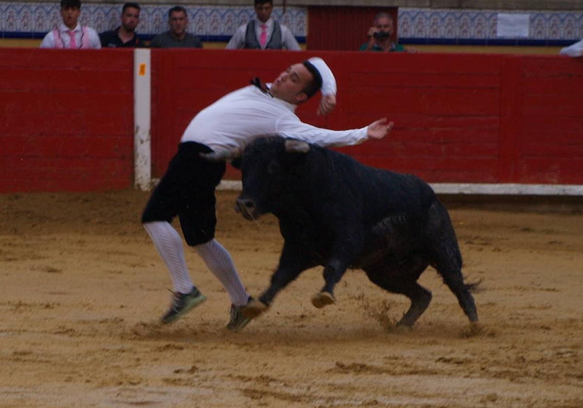 Parrado arquea la espalda durante el concurso celebrado en Pedrajas.