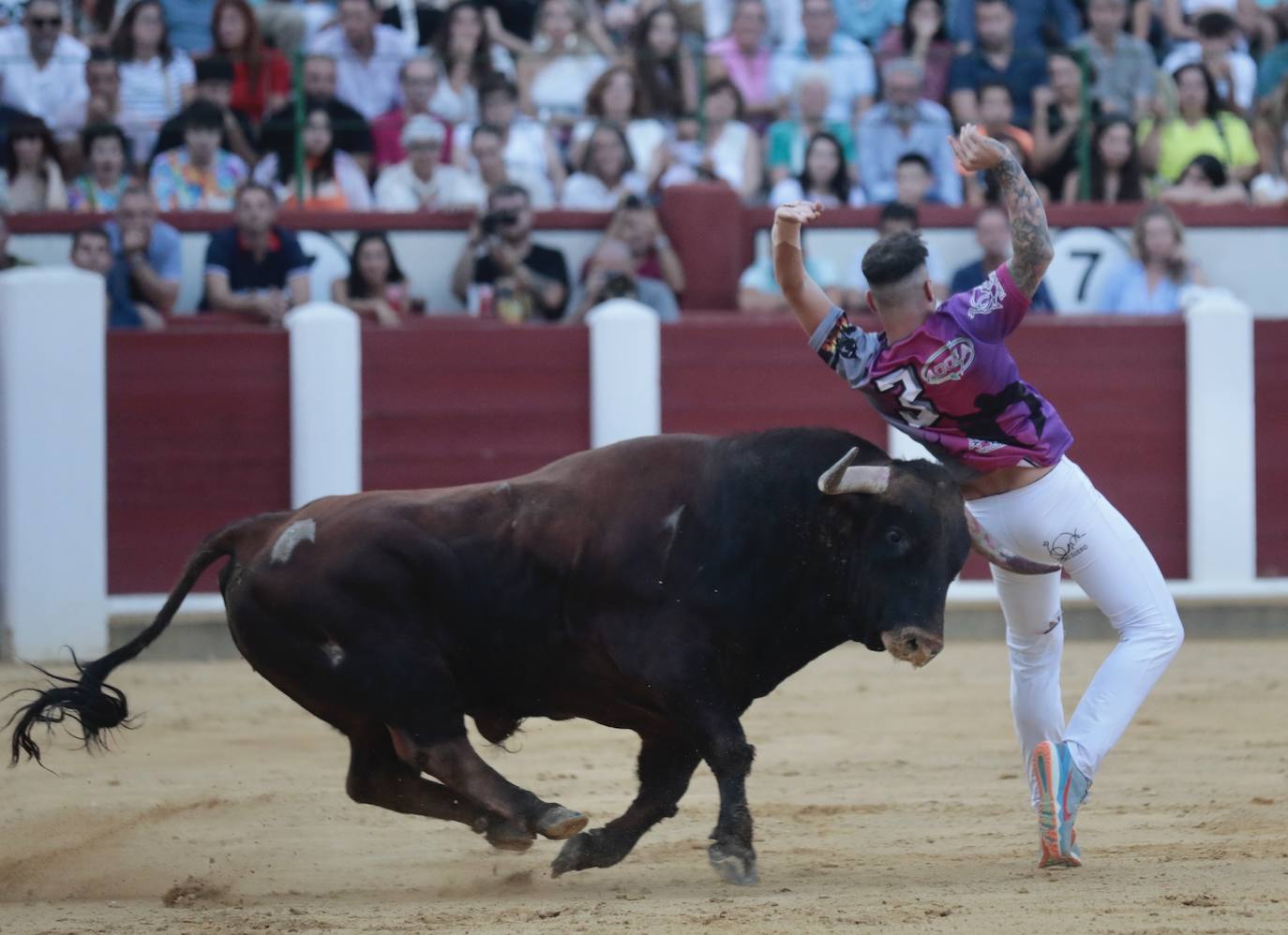 El Concurso de Cortes, en imágenes