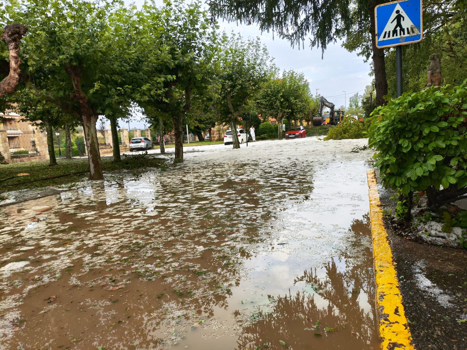 Imágenes de los efectos del vendaval en Medina de Rioseco