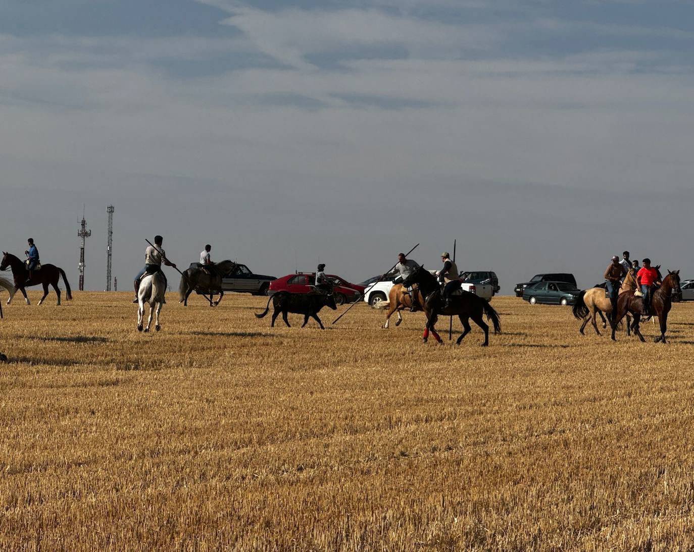 El encierro por el campo de Villalón, en imágenes