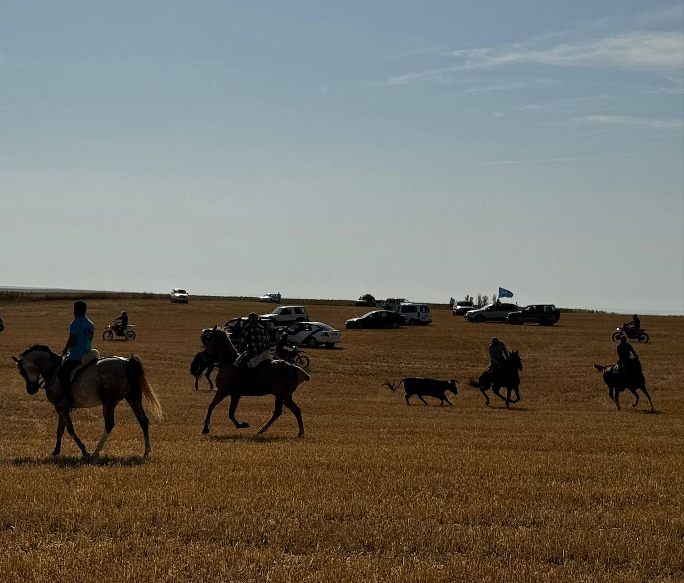 El encierro por el campo de Villalón, en imágenes