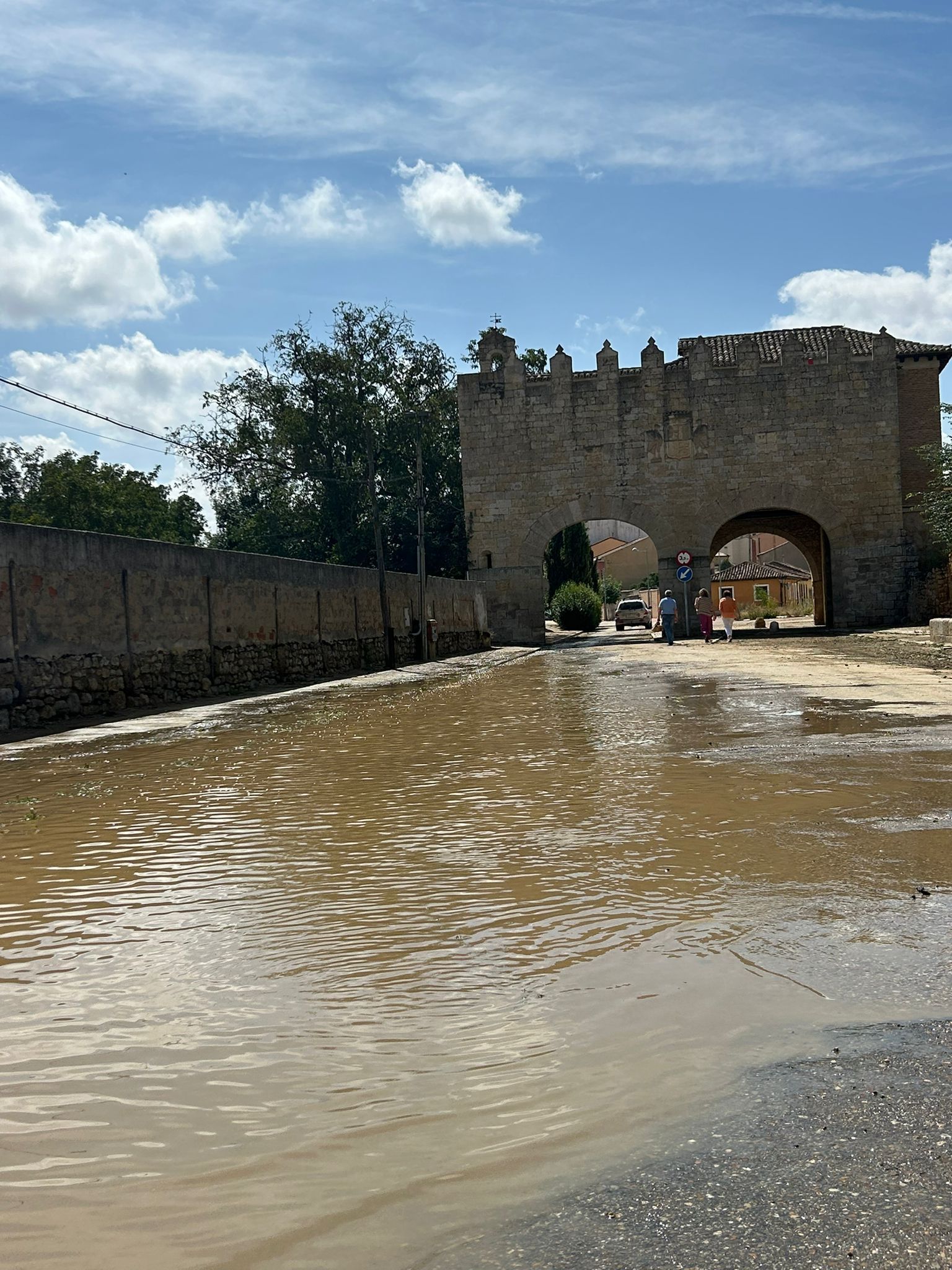 Imágenes de los efectos del vendaval en Medina de Rioseco