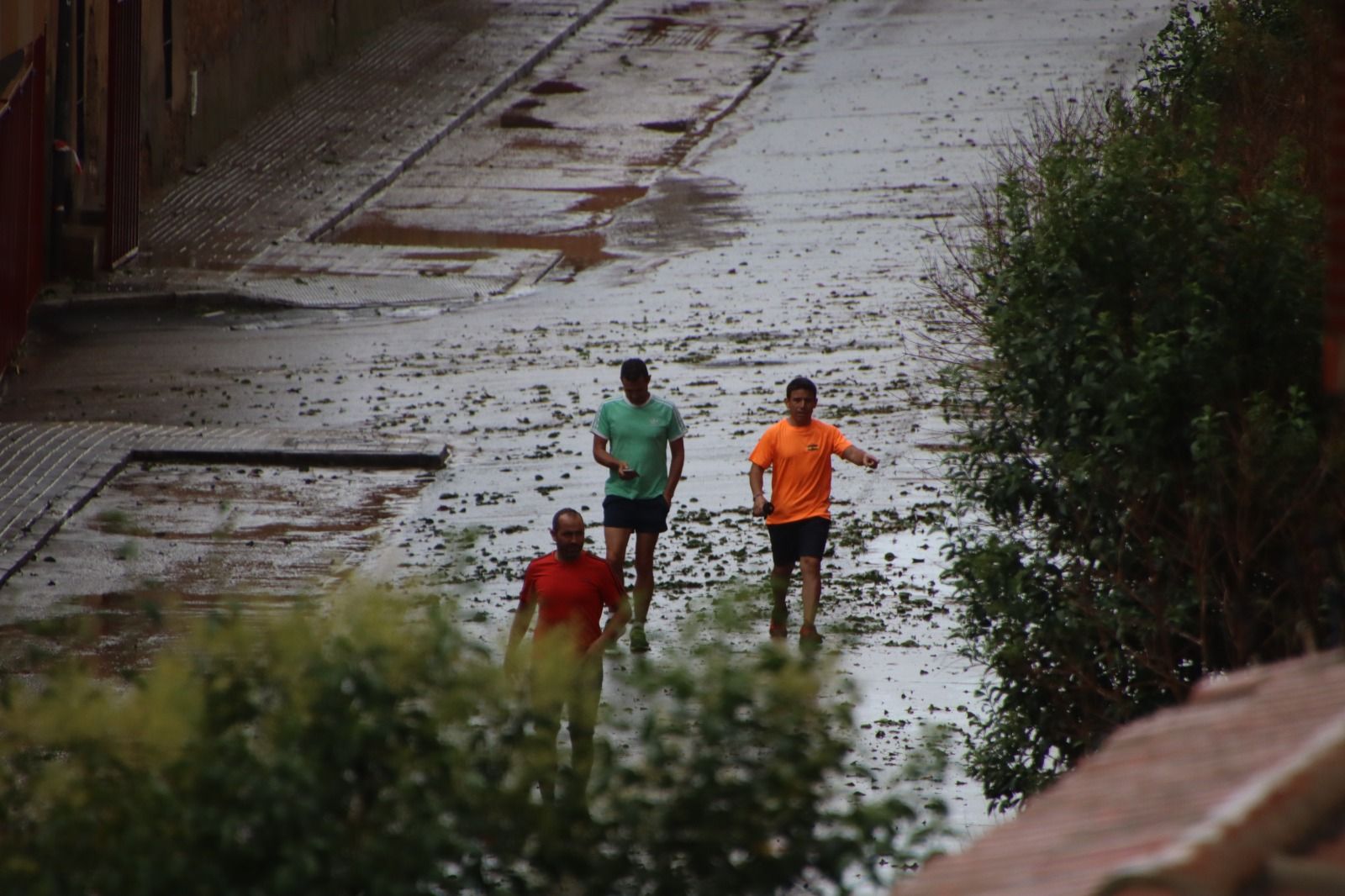 Imágenes de los efectos del vendaval en Medina de Rioseco