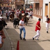 Pedrajas disfruta de tres festejos taurinos en la recta final de sus fiestas