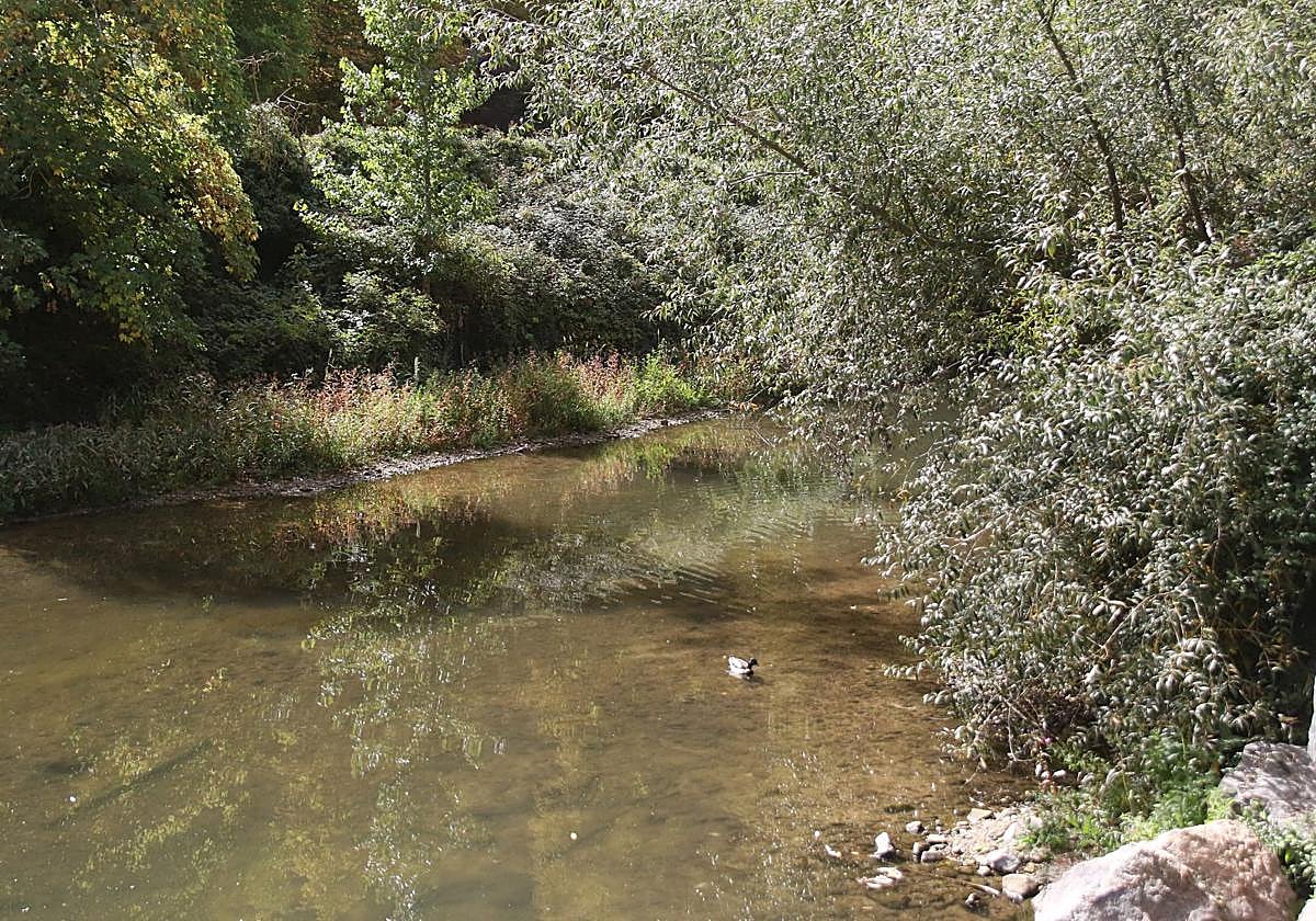 Río Eresma de Segovia.