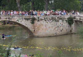 Los palentinos se agolpan en Puentecillas para disfrutar de la carrera de patitos de goma.