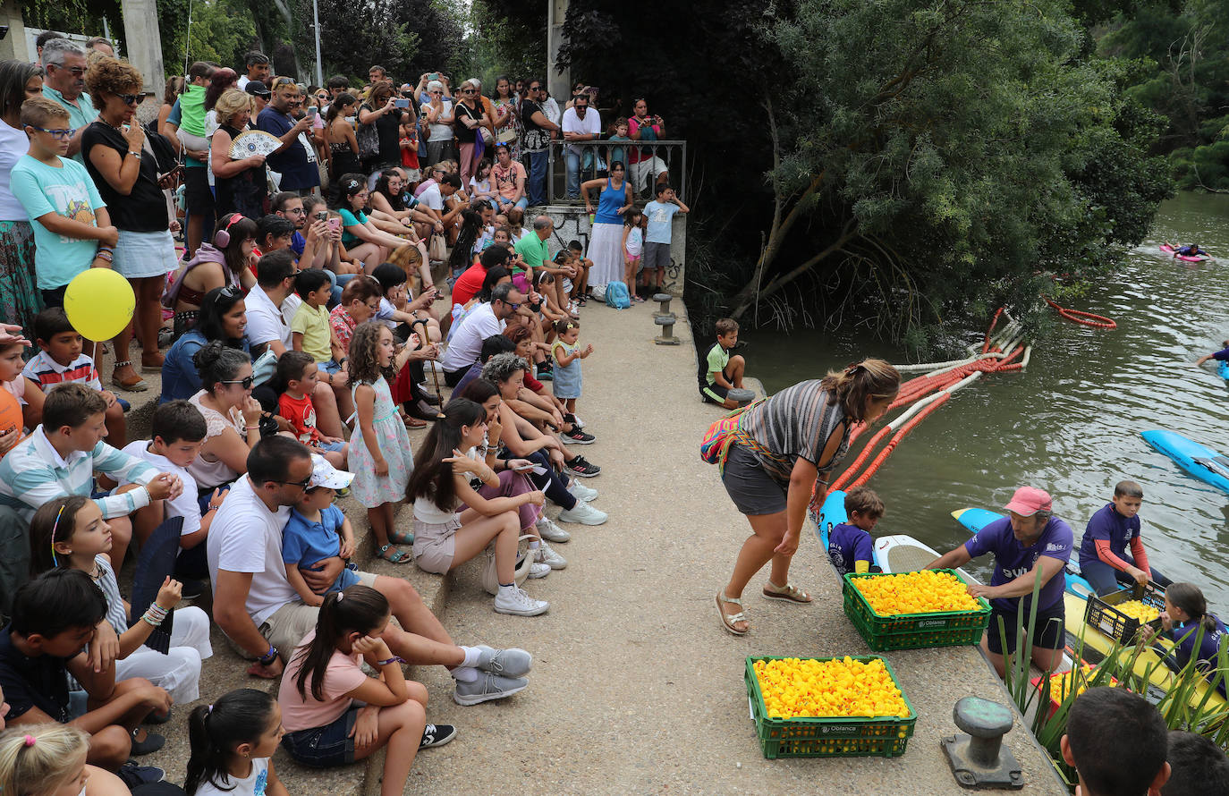 Los patitos de goma toman el Carrión