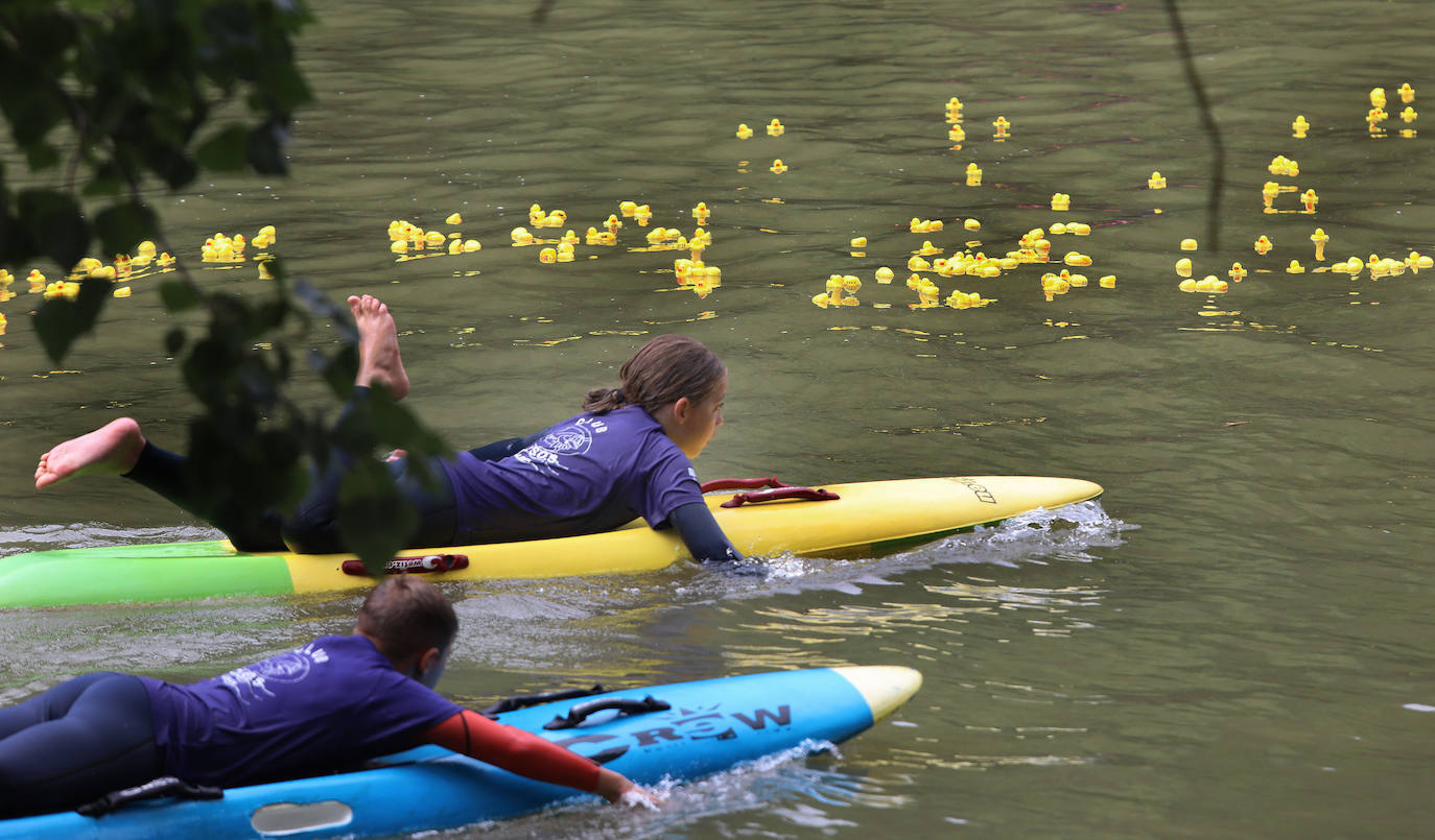 Los patitos de goma toman el Carrión