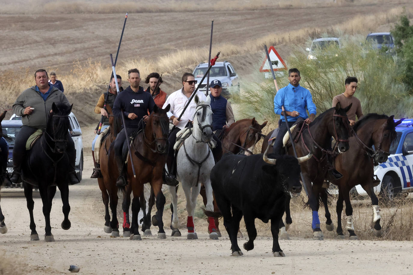 Imágenes del cuarto encierro de Medina del Campo