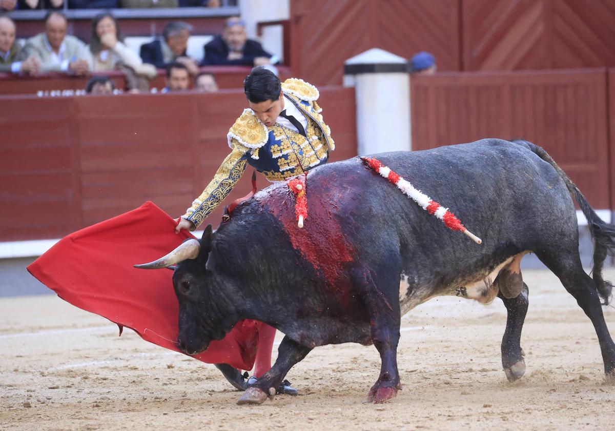 El novillero Mario Navas en la Feria de San Isidro del año pasado.