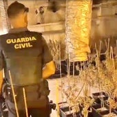 Desmantelan una plantación 'indoor' de marihuana y detienen a tres vecinos de Peñafiel