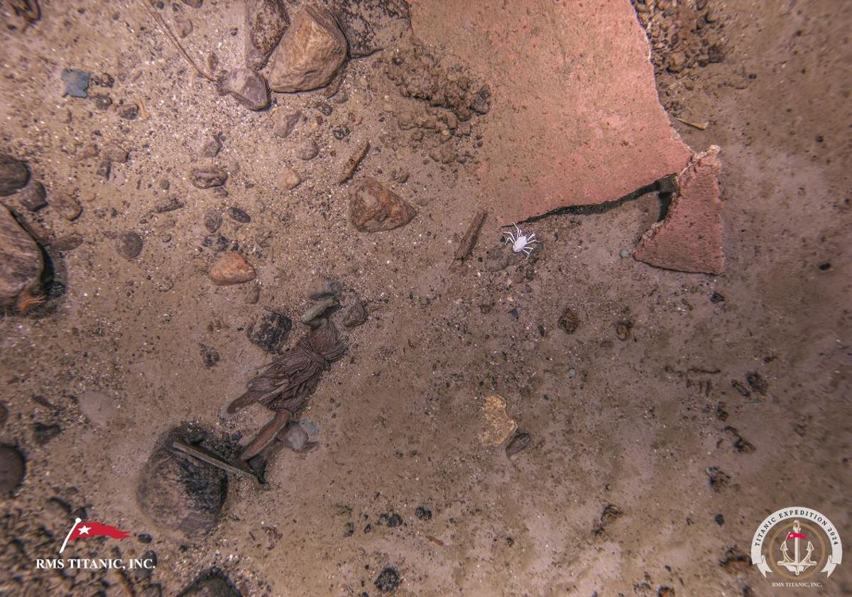 Imagen principal - Encuentran la estatua de Diana de Versalles perdida en el naufragio del Titanic