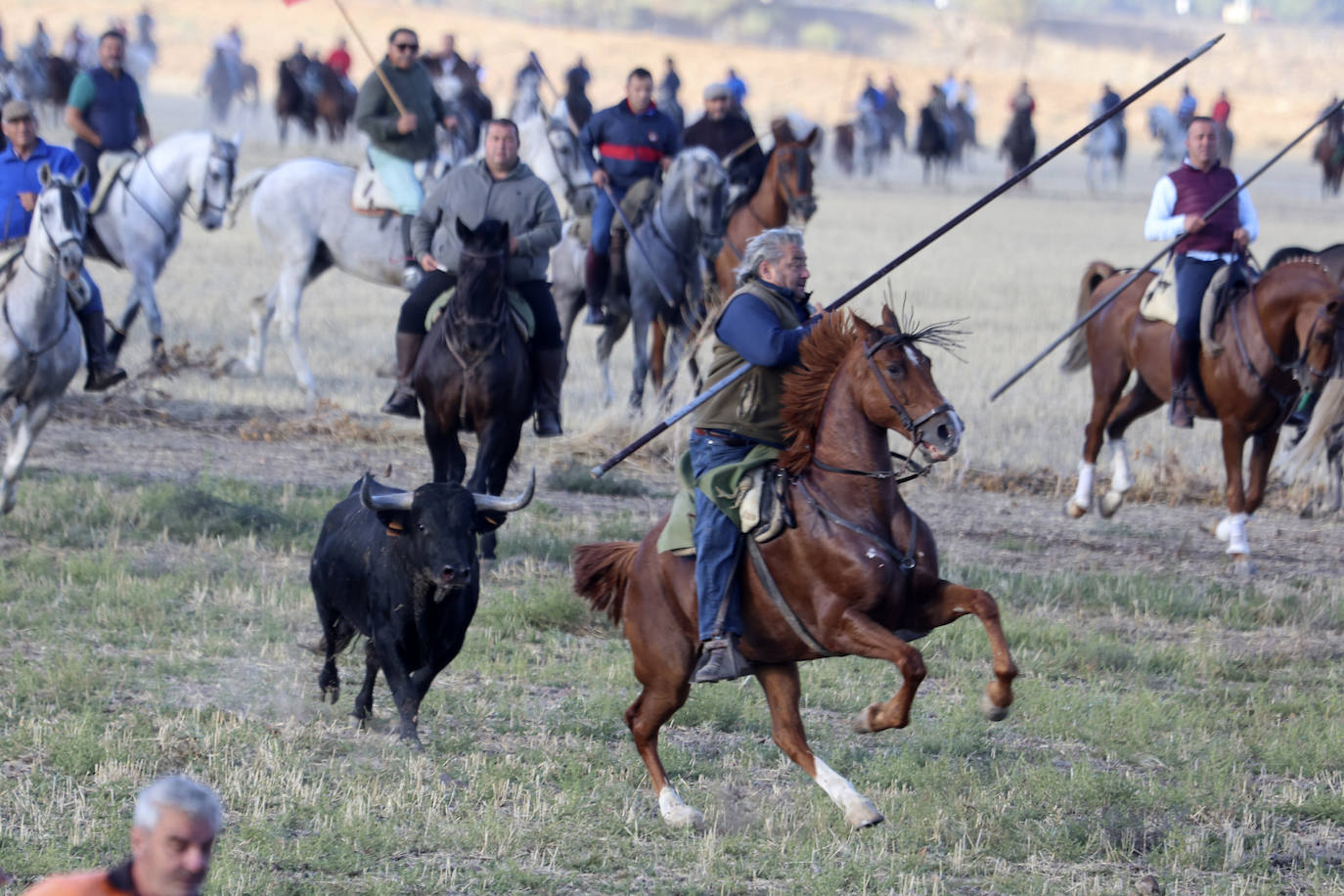 El tercer encierro de Medina del Campo en imágenes