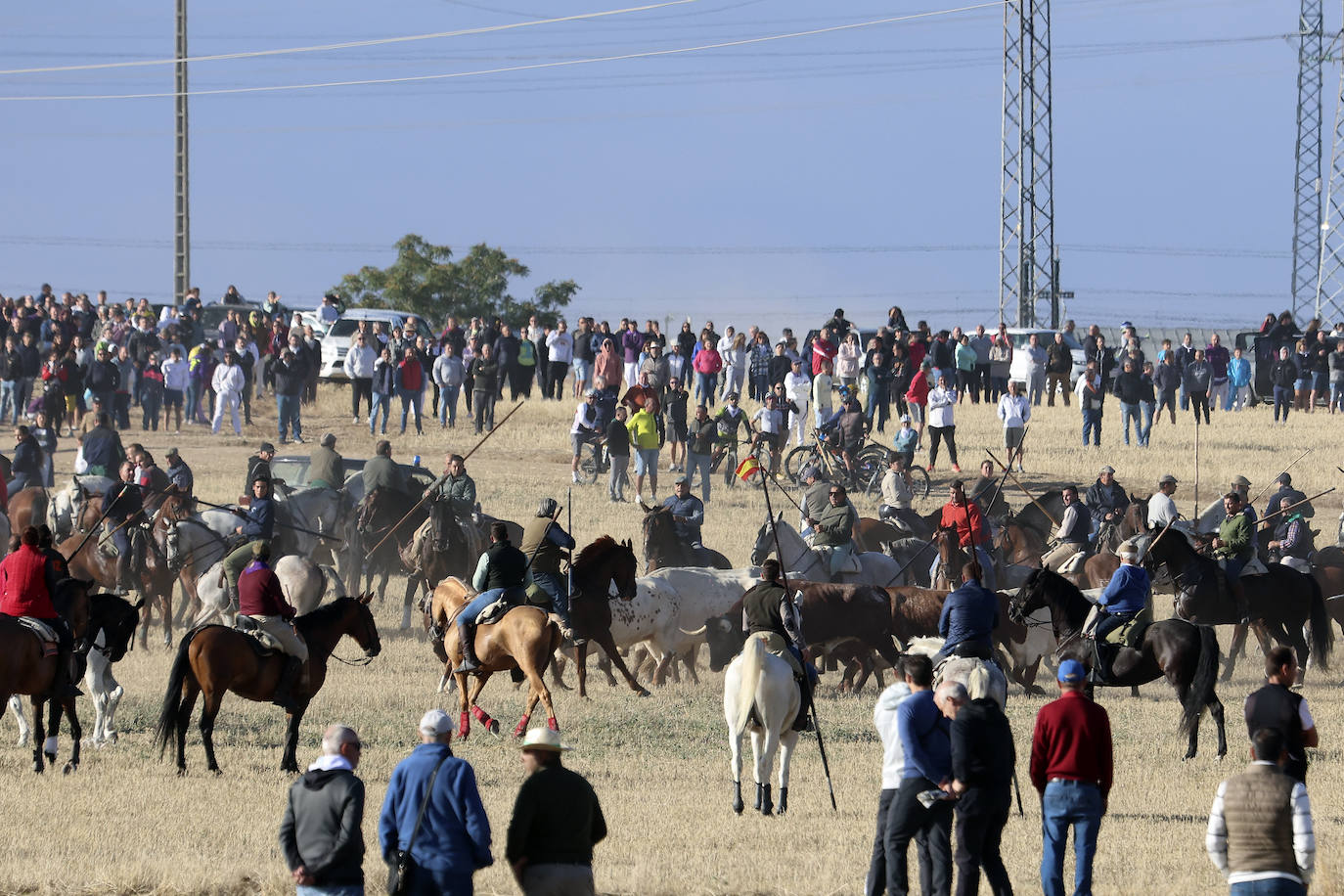 El tercer encierro de Medina del Campo en imágenes