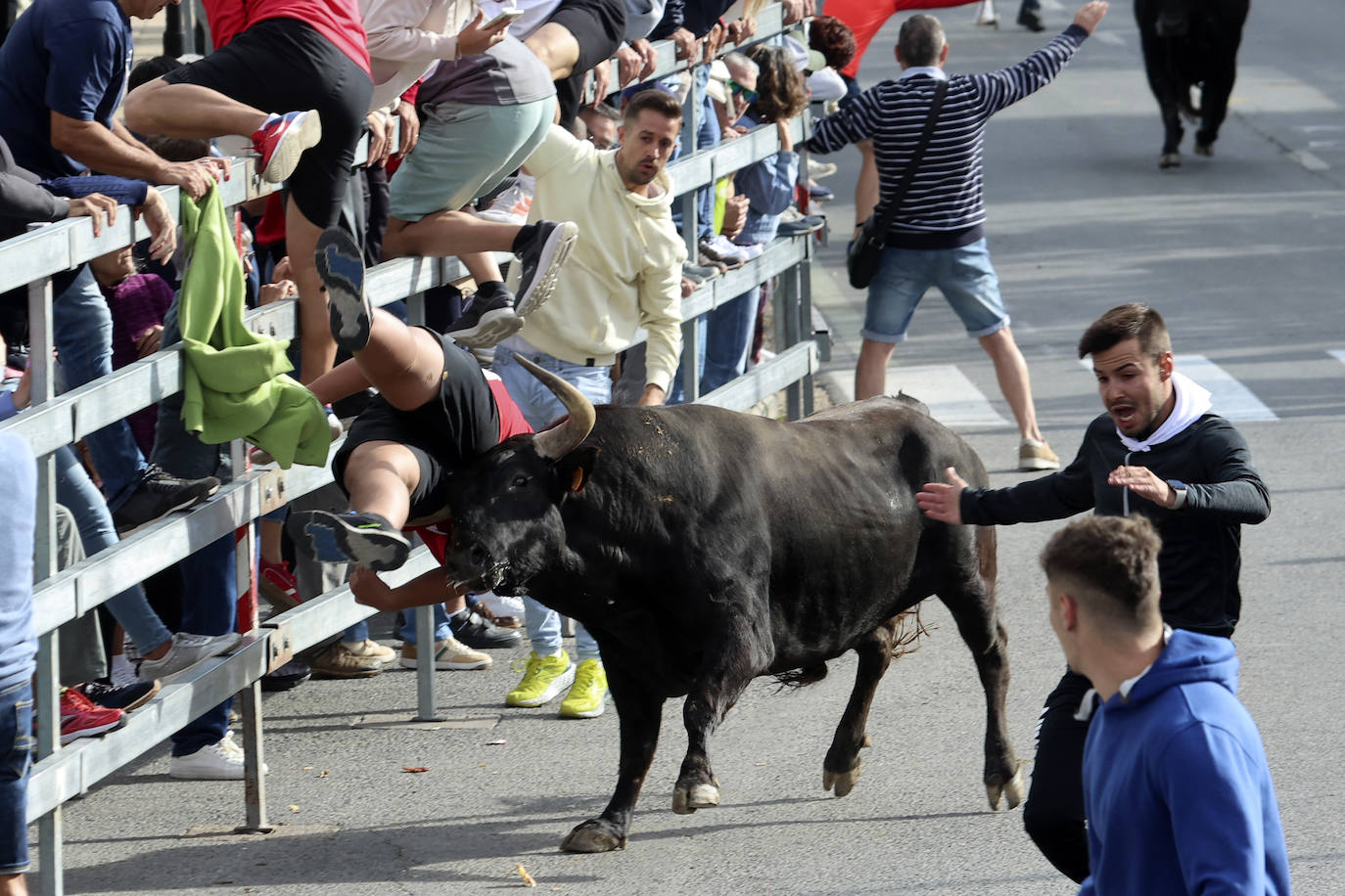 El tercer encierro de Medina del Campo en imágenes