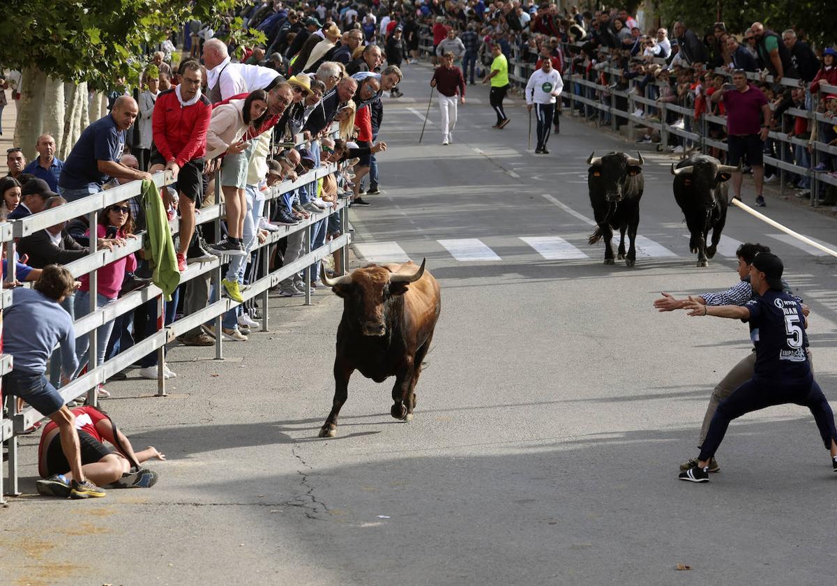 El tercer encierro de Medina del Campo en imágenes